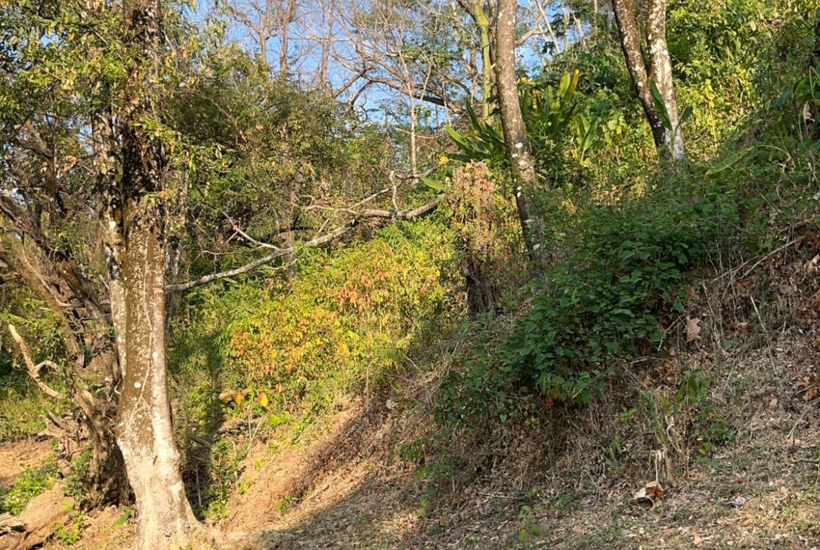 Development opportunity with ocean view in Santa Teresa