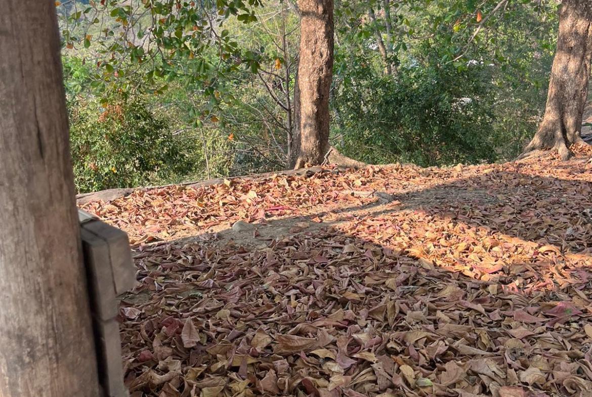 Development opportunity with ocean view in Santa Teresa