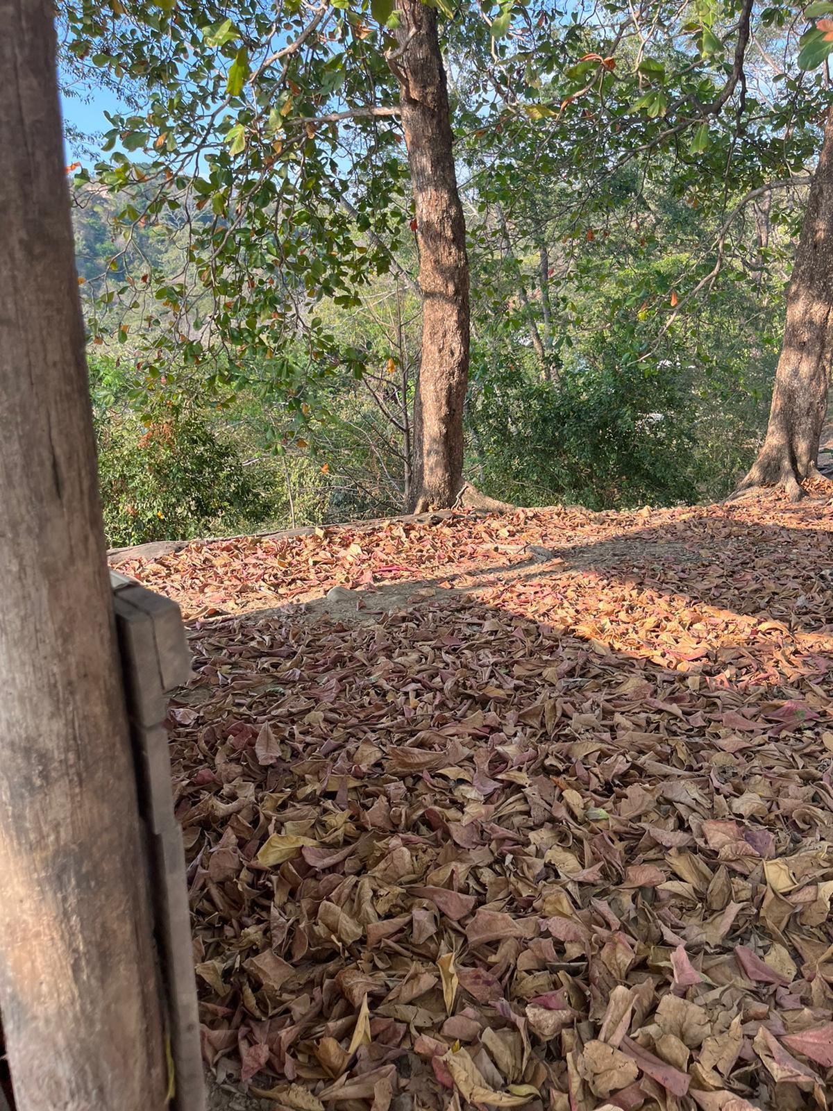 Development opportunity with ocean view in Santa Teresa