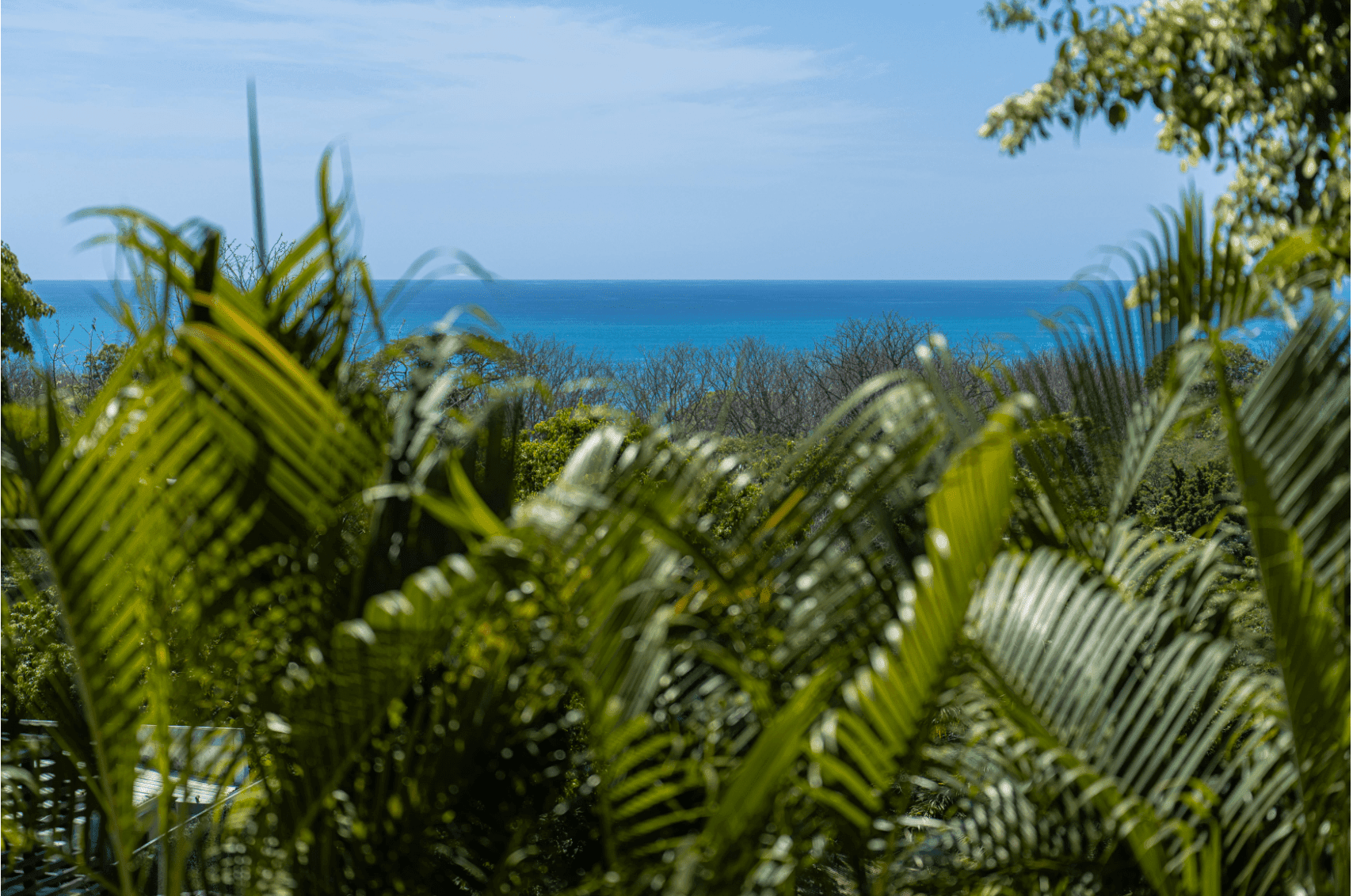 Income producing ocean view property in Santa Teresa