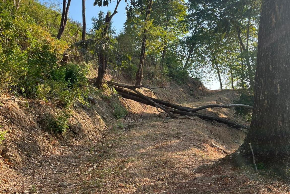 Development opportunity with ocean view in Santa Teresa