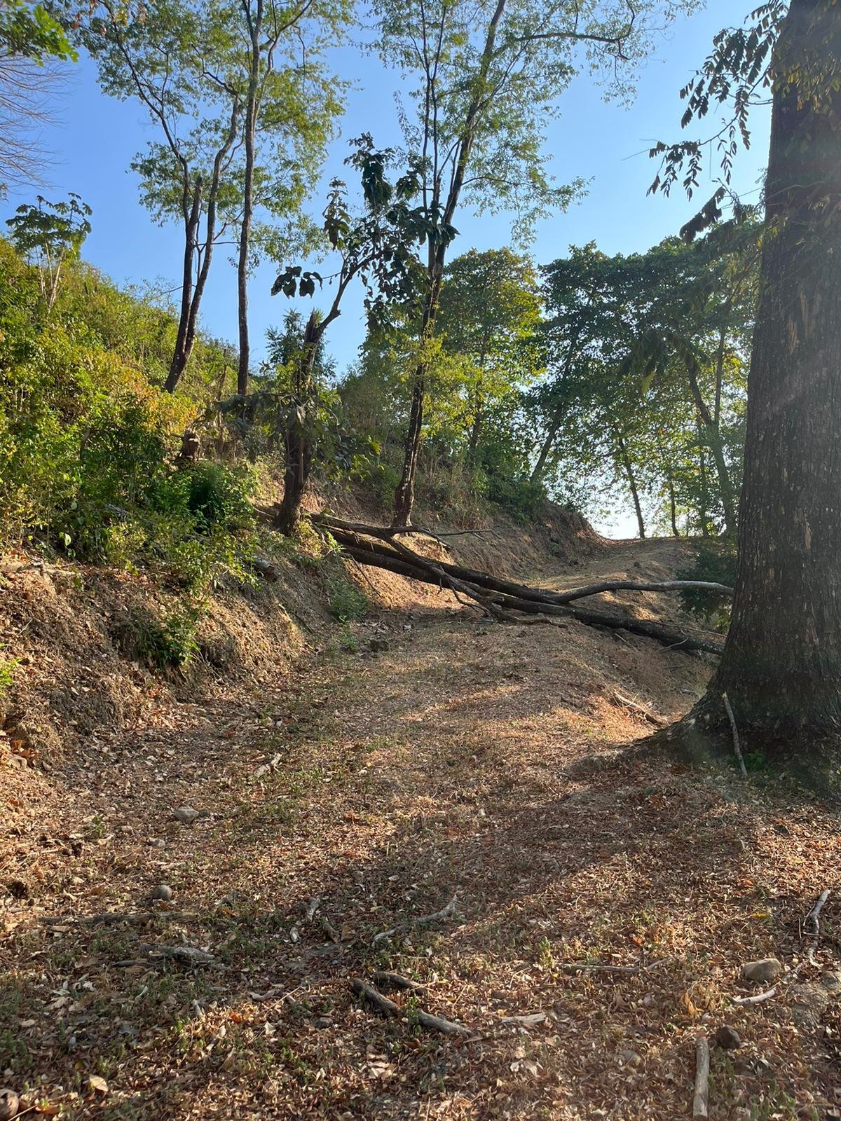 Development opportunity with ocean view in Santa Teresa