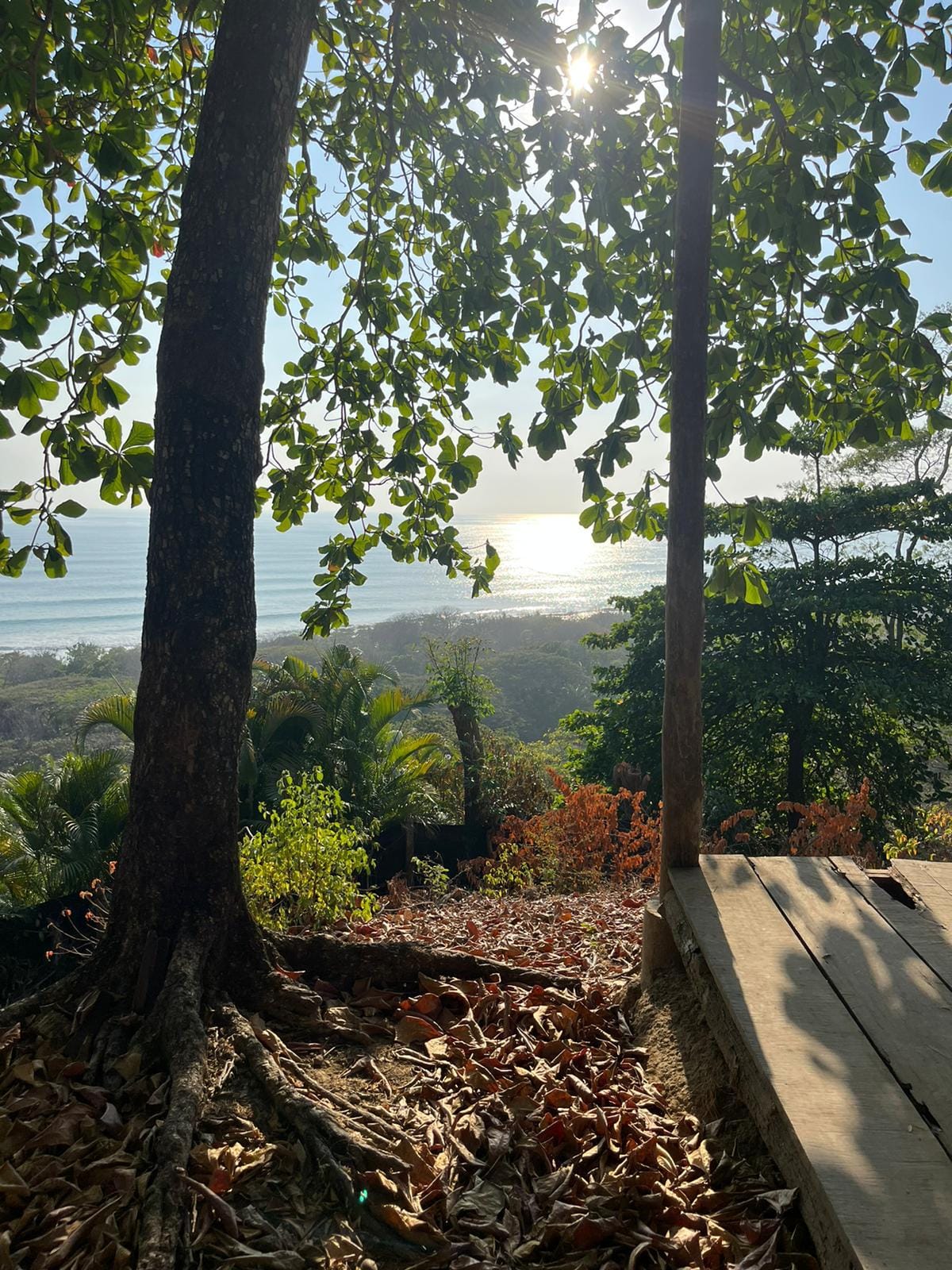 Development opportunity with ocean view in Santa Teresa