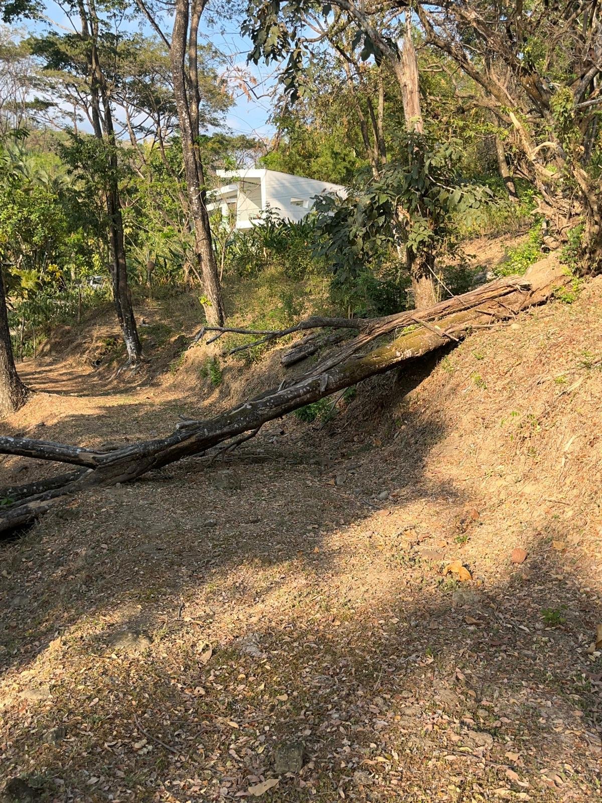 Development opportunity with ocean view in Santa Teresa