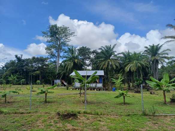 Land in Puerto Jimenez