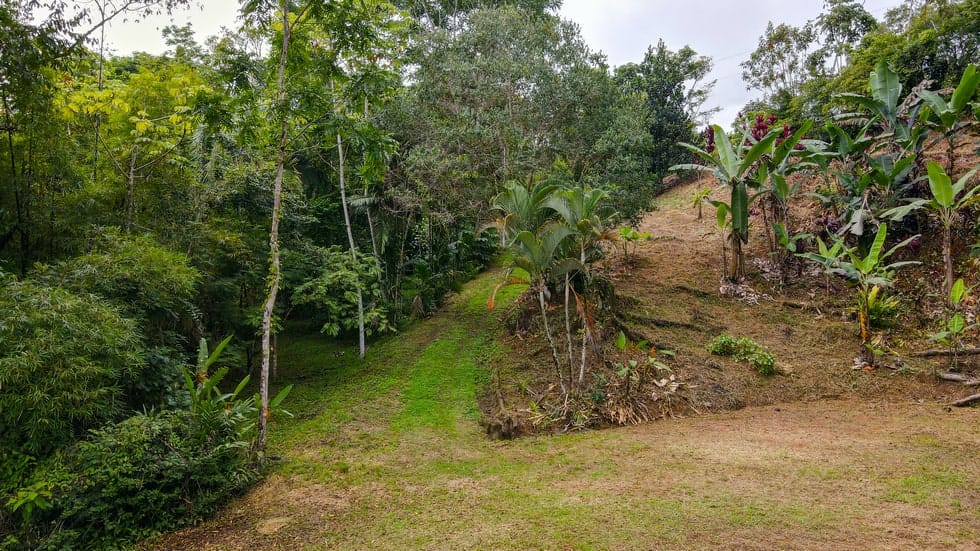 Land for sale with jungle and mountain views in Dominical