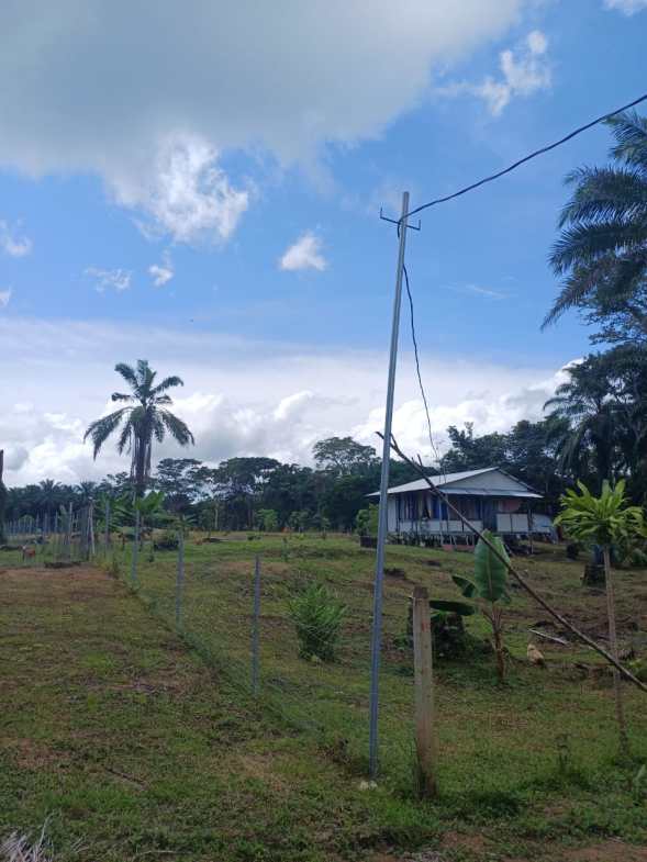 Land in Puerto Jimenez