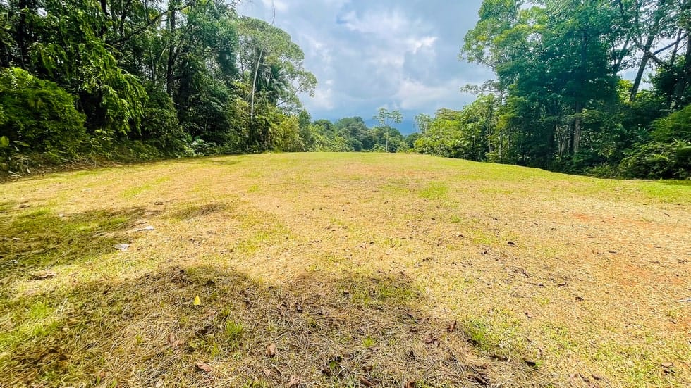 Land for sale with jungle and mountain views in Dominical
