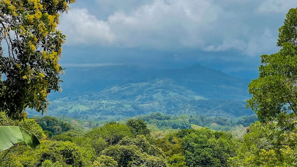 Land for sale with jungle and mountain views in Dominical