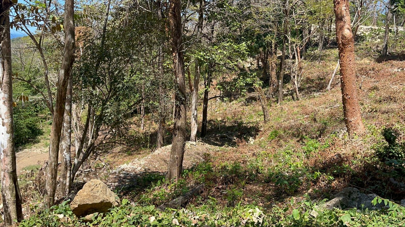 Land in Santa Teresa with Ocean view Land in Santa Teresa with Ocean view