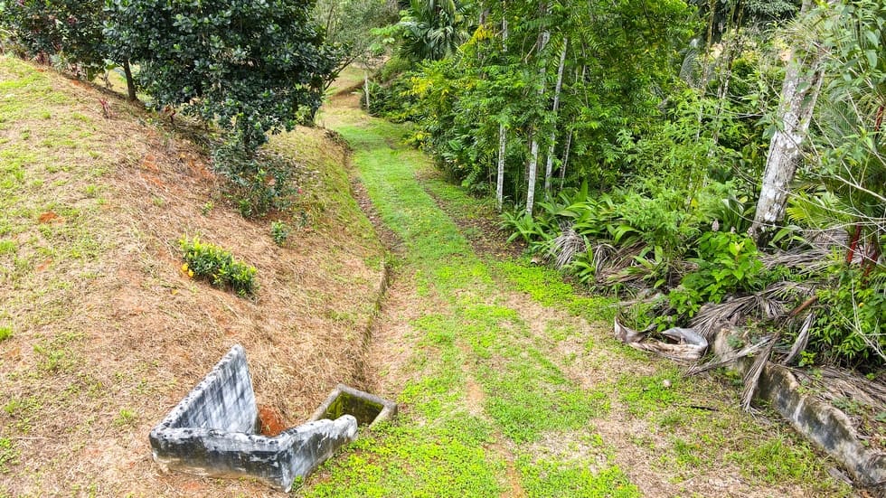 Land for sale with jungle and mountain views in Dominical