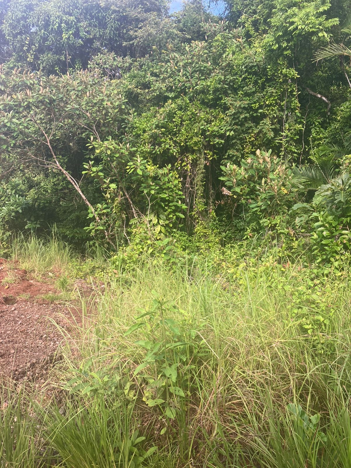 Development opportunity in Las Delicias, Costa Rica