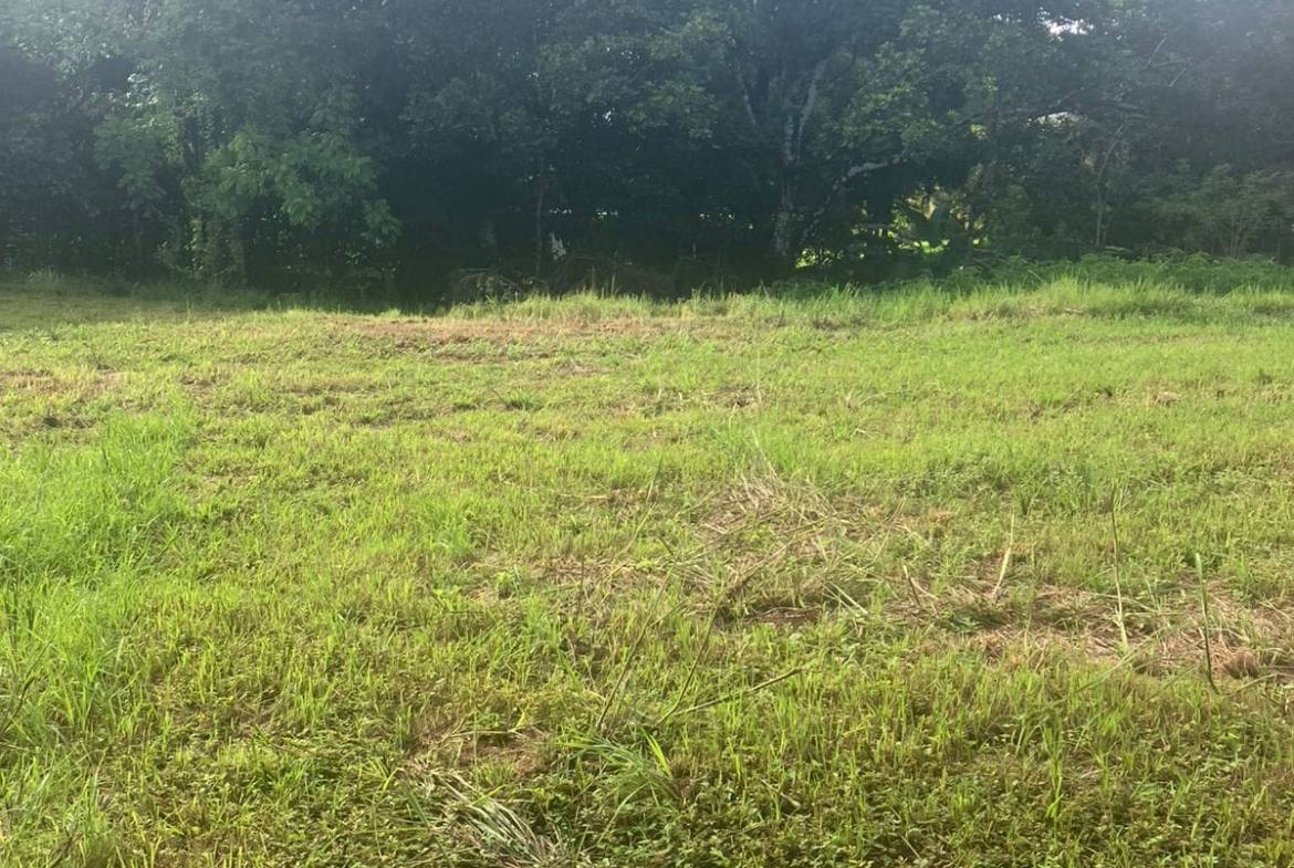 Development opportunity in Las Delicias, Costa Rica