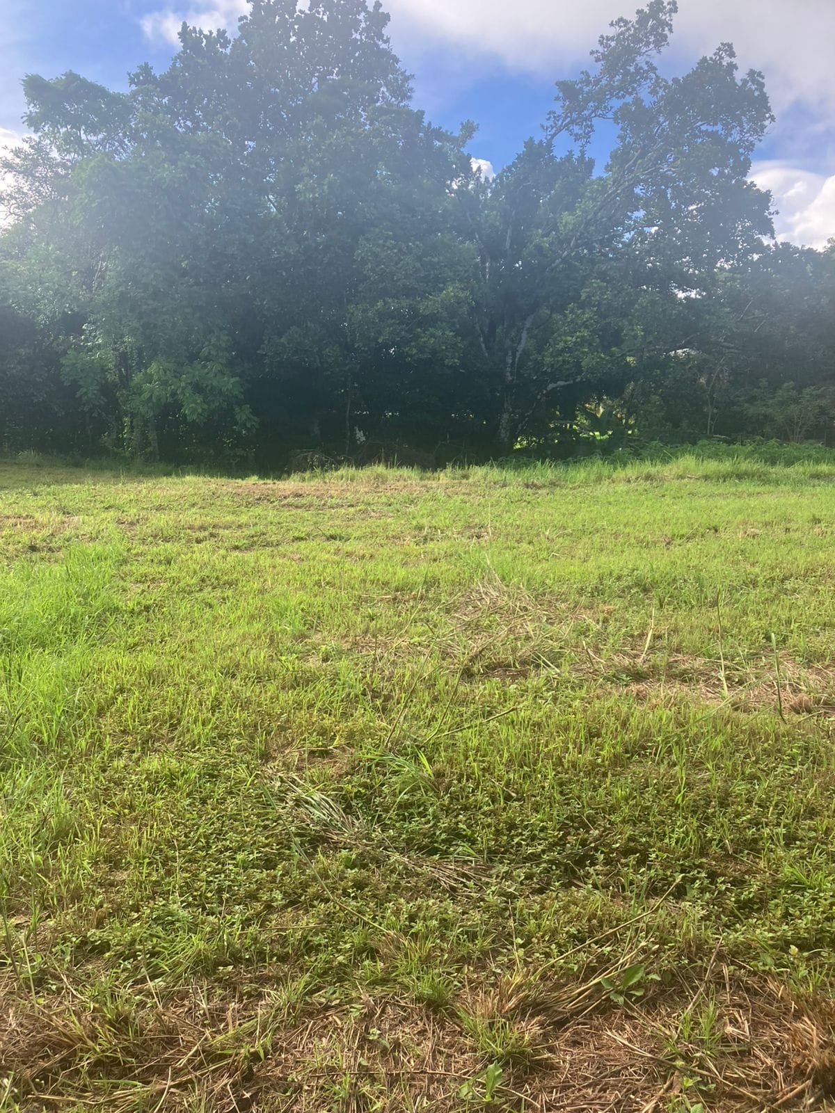 Development opportunity in Las Delicias, Costa Rica