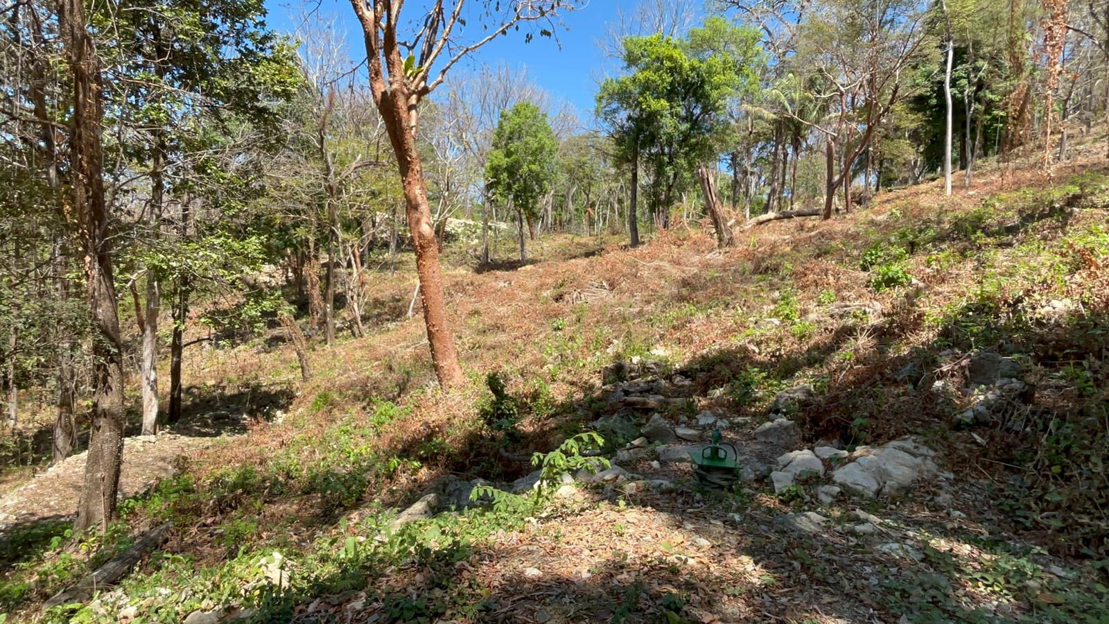 Land in Santa Teresa with Ocean view Land in Santa Teresa with Ocean view