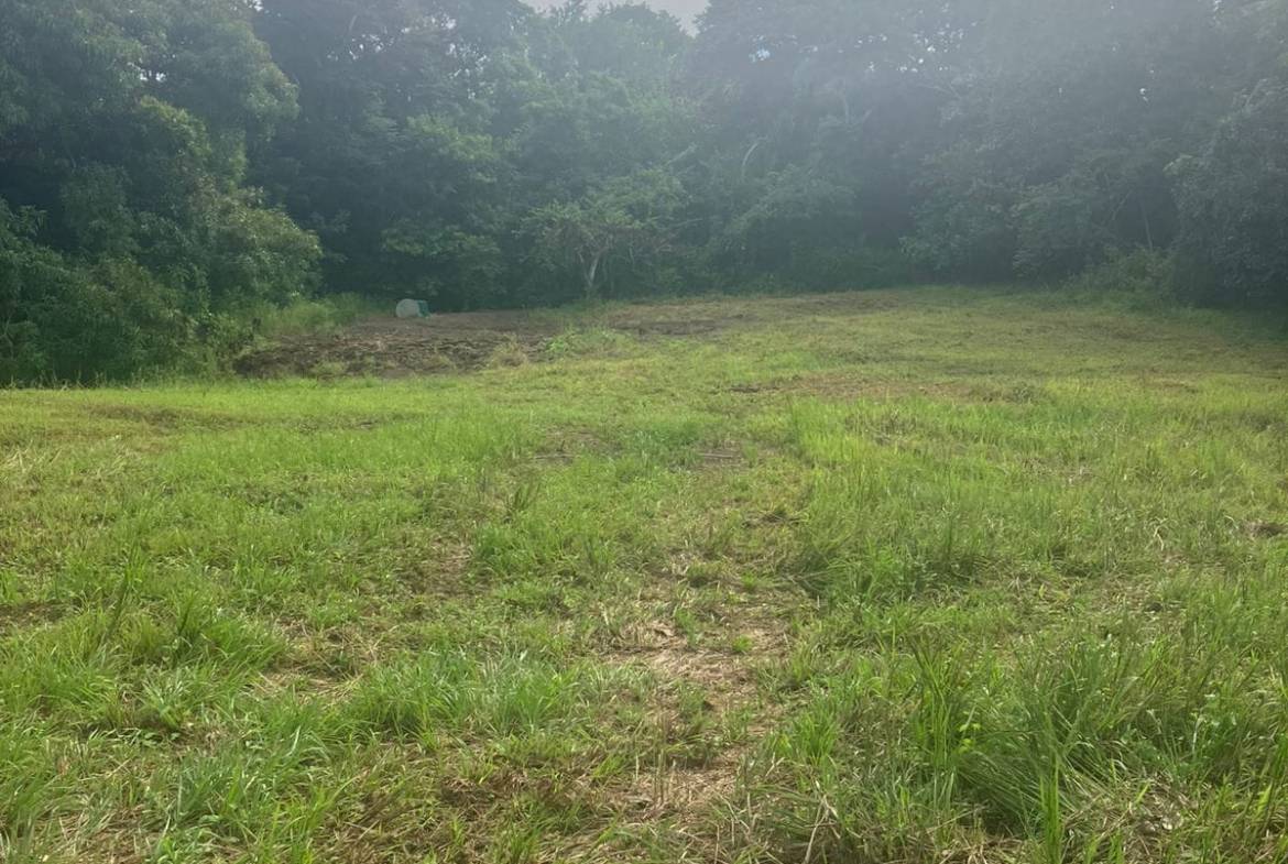 Development opportunity in Las Delicias, Costa Rica