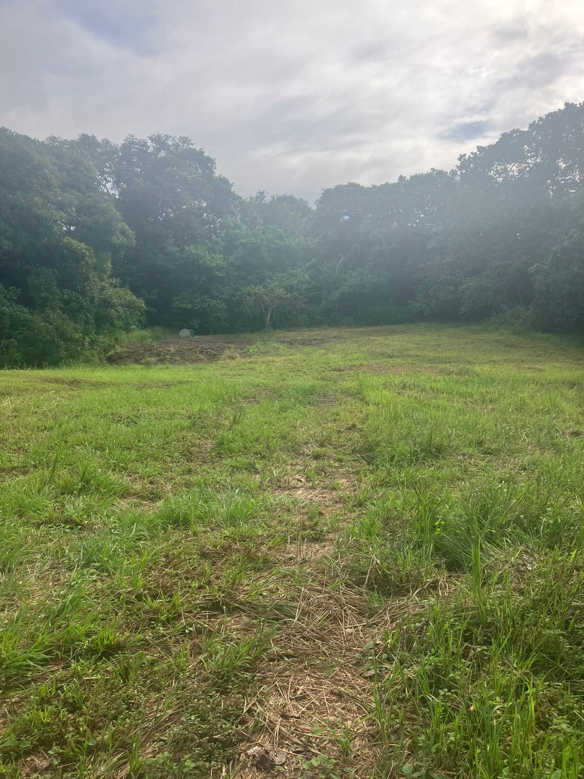 Development opportunity in Las Delicias, Costa Rica