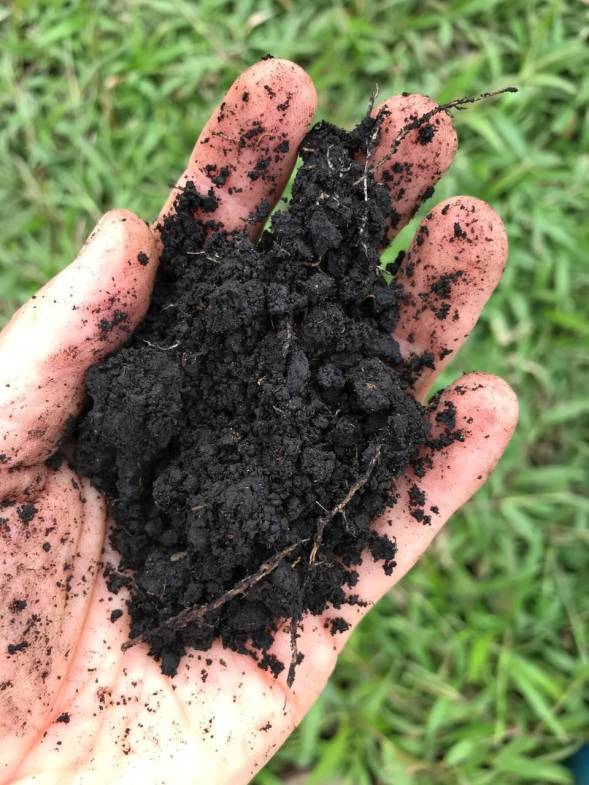 Land for sale in San Isidro