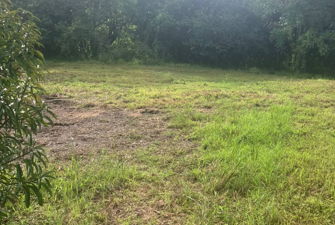 Development opportunity in Las Delicias, Costa Rica