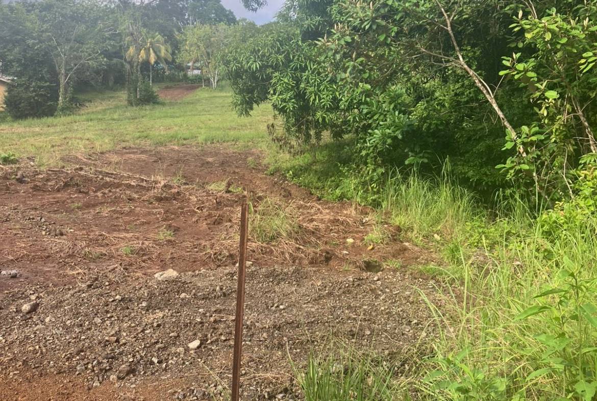 Development opportunity in Las Delicias, Costa Rica