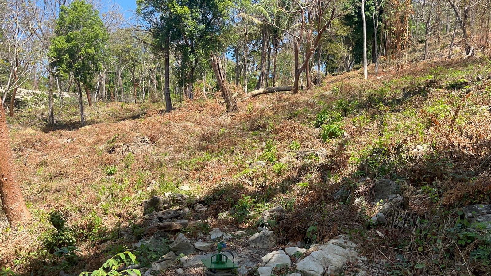 Land in Santa Teresa with Ocean view Land in Santa Teresa with Ocean view