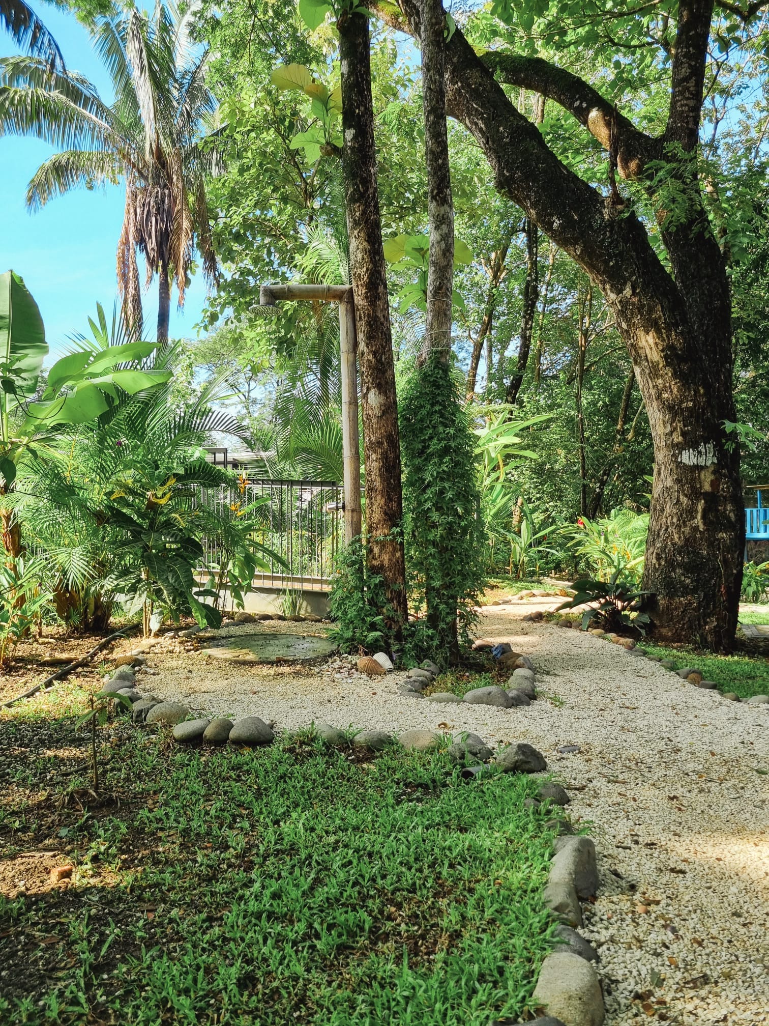 Condo steps away from the beach in Santa Teresa