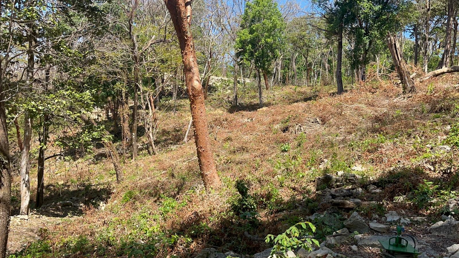 Land in Santa Teresa with Ocean view Land in Santa Teresa with Ocean view