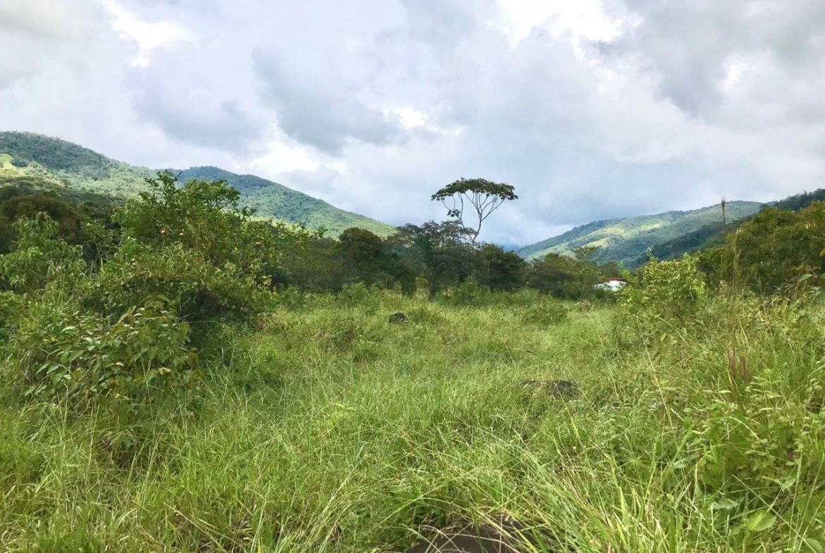 Land for sale in San Isidro