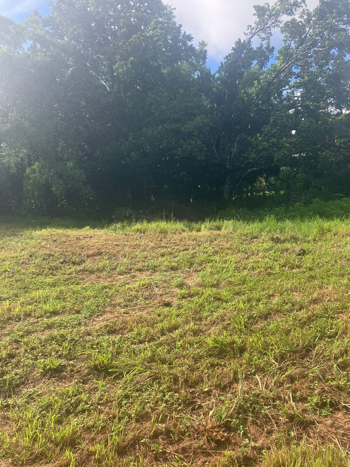 Development opportunity in Las Delicias, Costa Rica