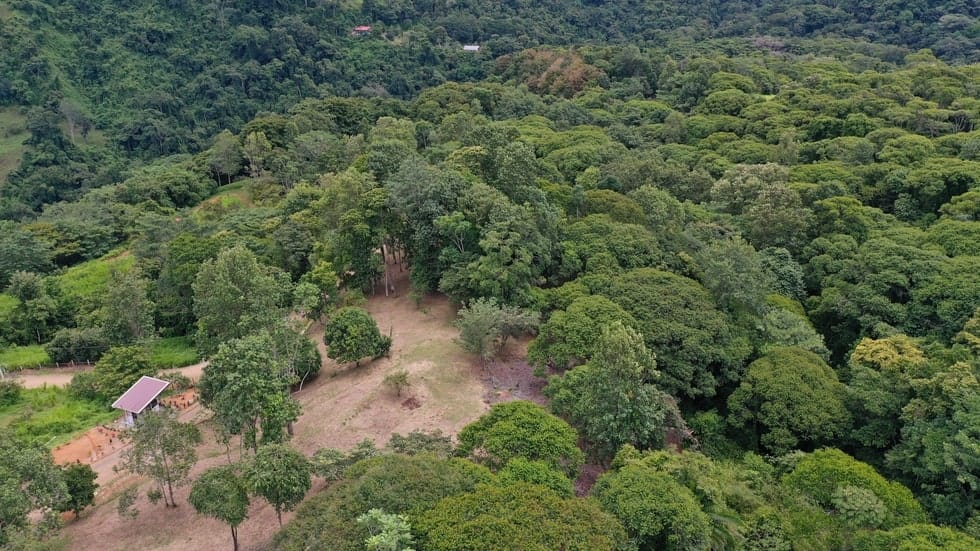 Land for sale in Dominical