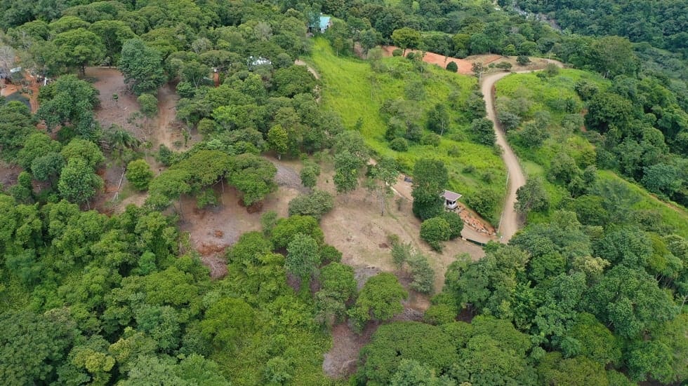 Land for sale in Dominical