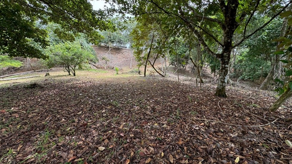 Land for sale in Dominical