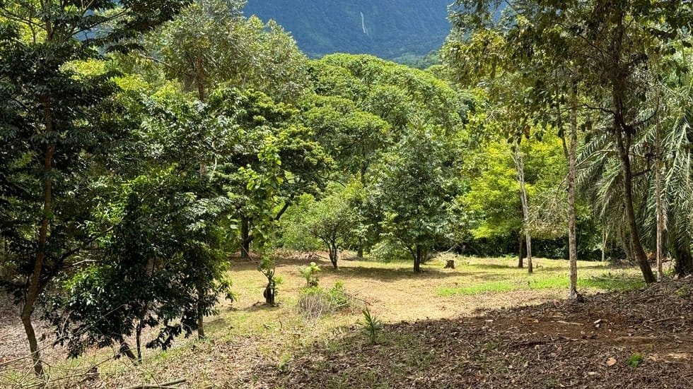 Land for sale in Dominical