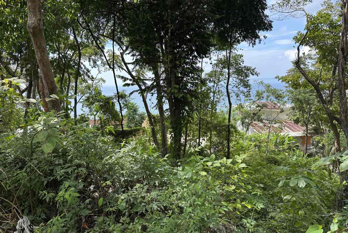 Land in Santa Teresa