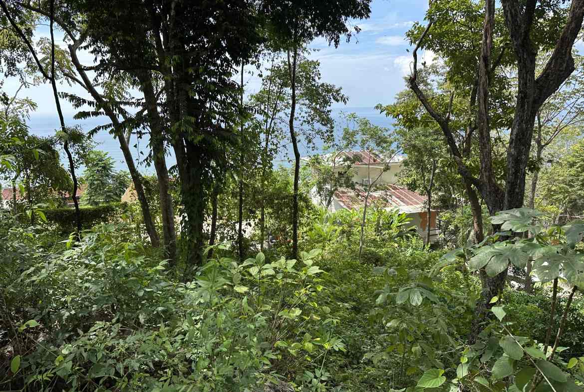 Land in Santa Teresa