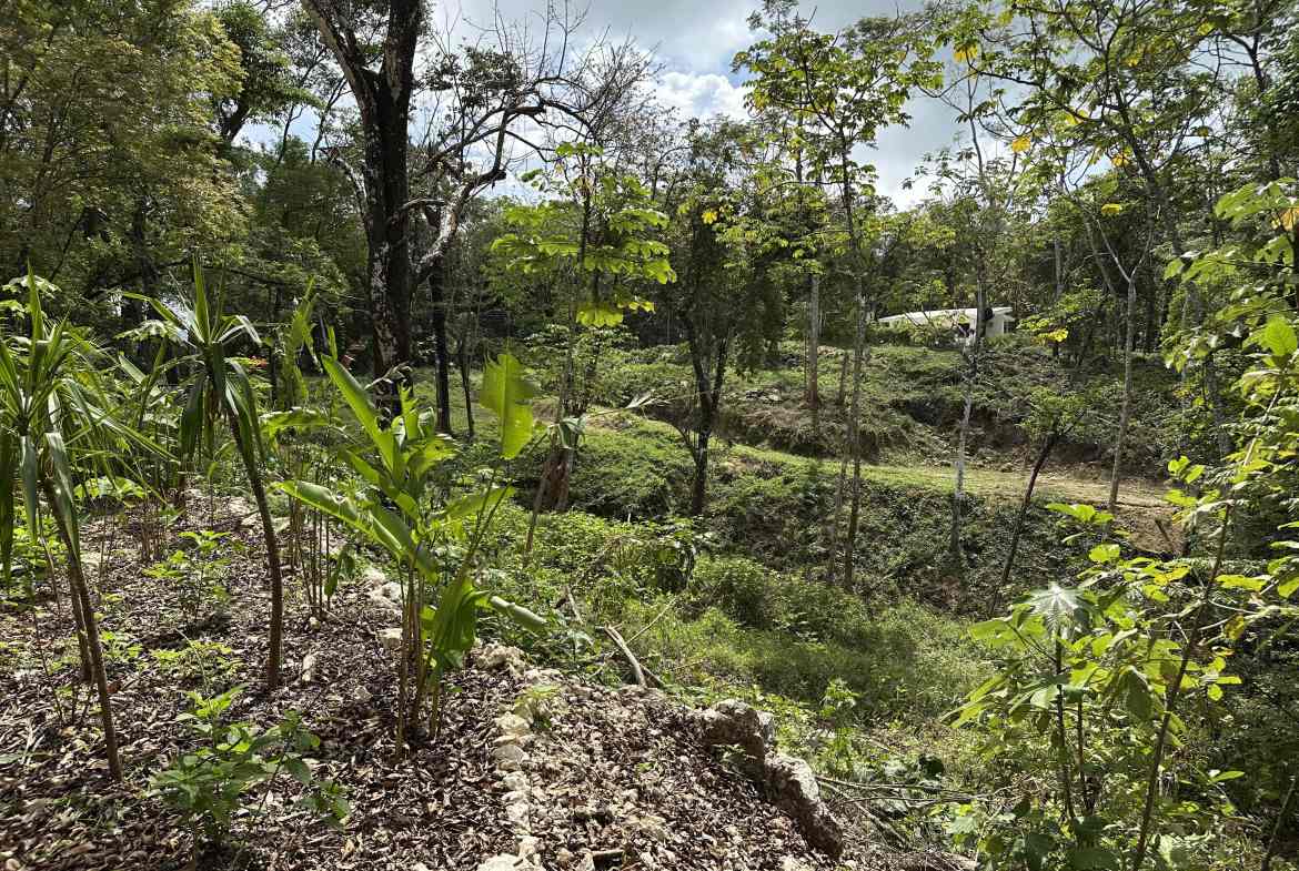 Land in Santa Teresa