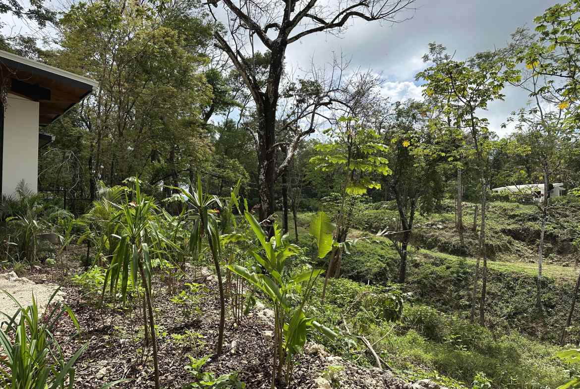 Land in Santa Teresa