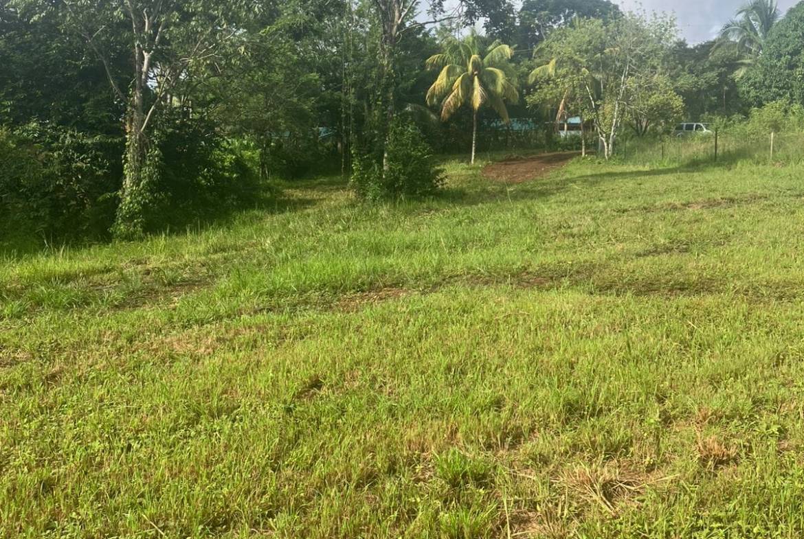 Development opportunity in Las Delicias, Costa Rica