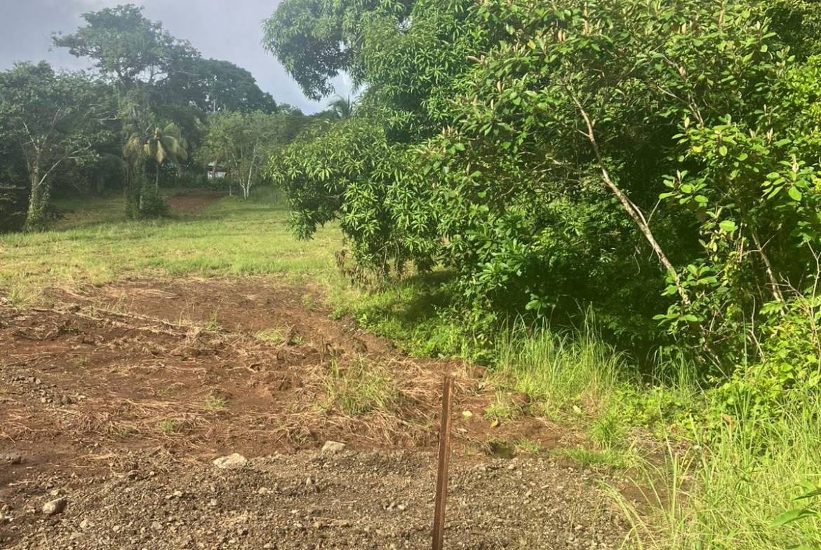 Development opportunity in Las Delicias, Costa Rica