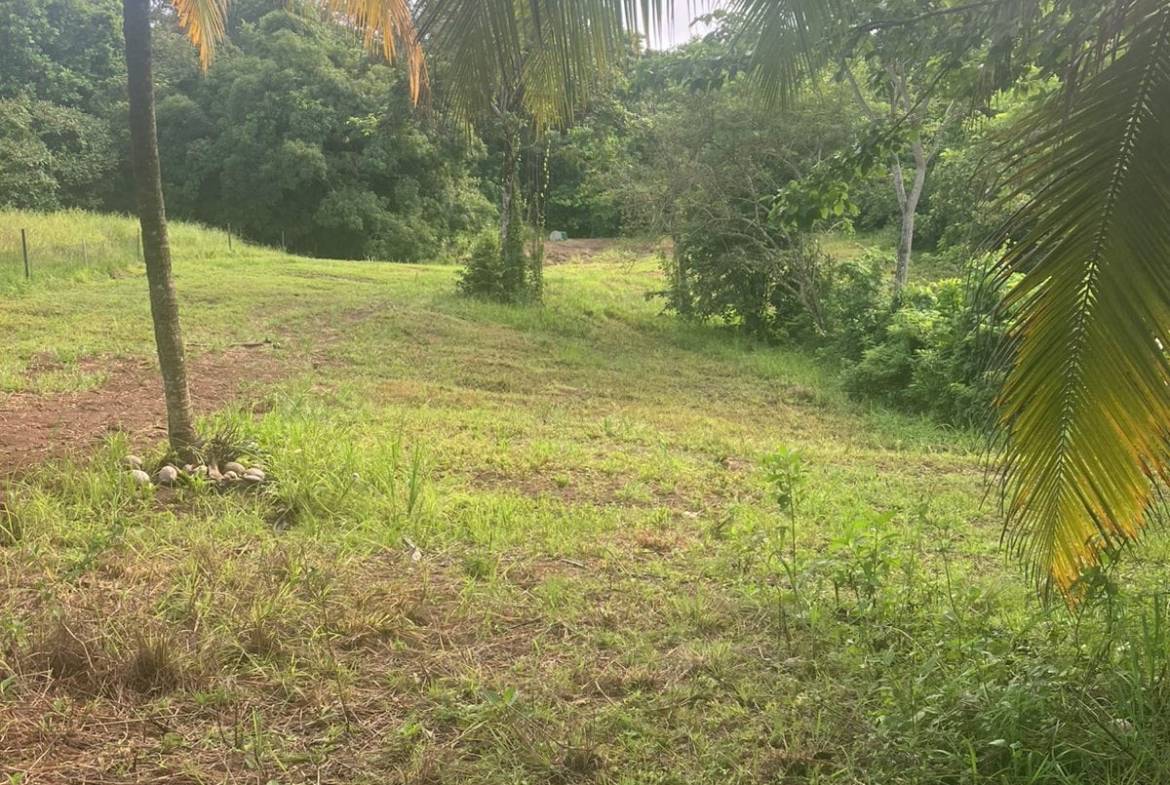 Development opportunity in Las Delicias, Costa Rica