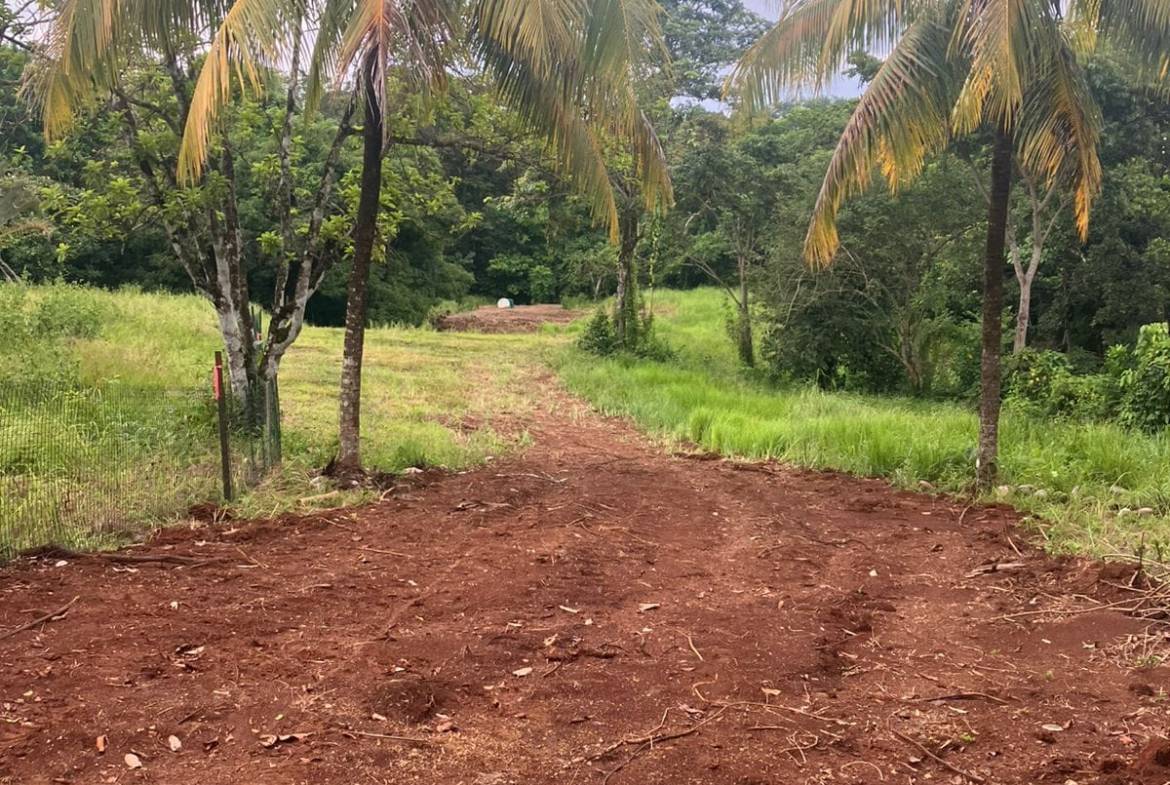 Development opportunity in Las Delicias, Costa Rica