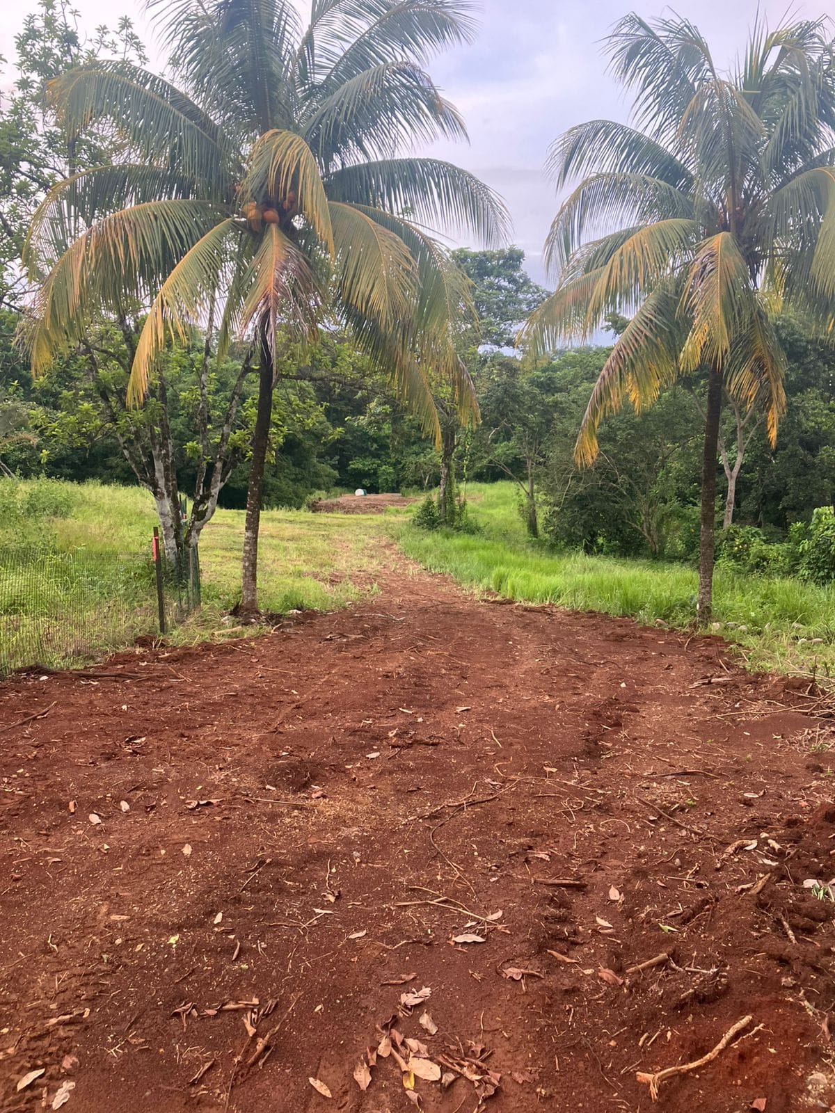 Development opportunity in Las Delicias, Costa Rica