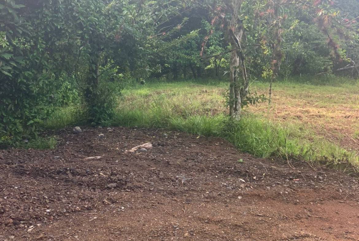 Development opportunity in Las Delicias, Costa Rica