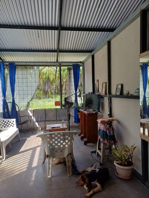 Land in Puerto Jimenez