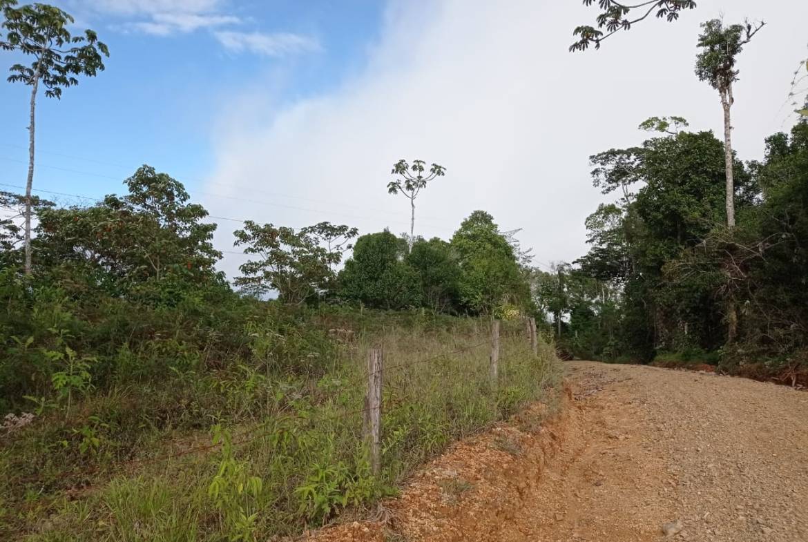 Development opportunity in between Uvita and Perez Zeledon
