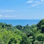 Malpais Development opportunity