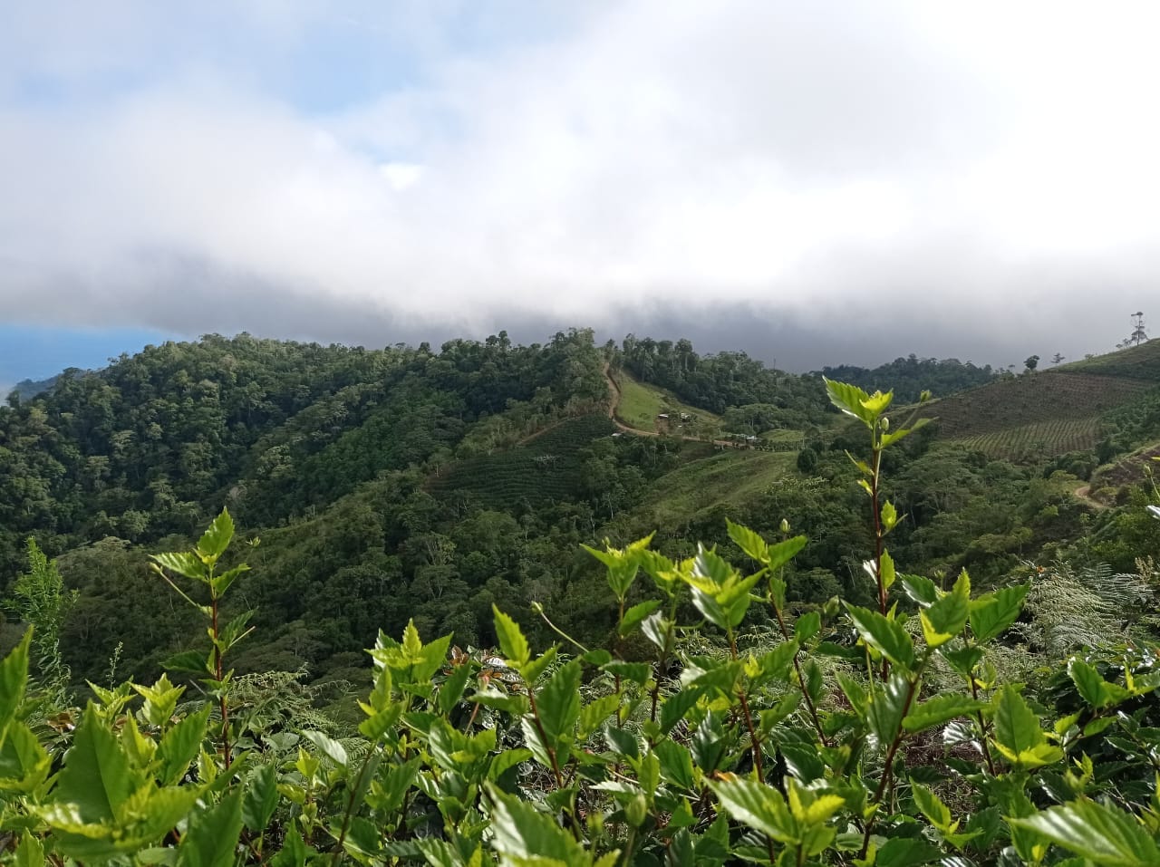 Development opportunity in between Uvita and Perez Zeledon Development opportunity in between Uvita and Perez Zeledon