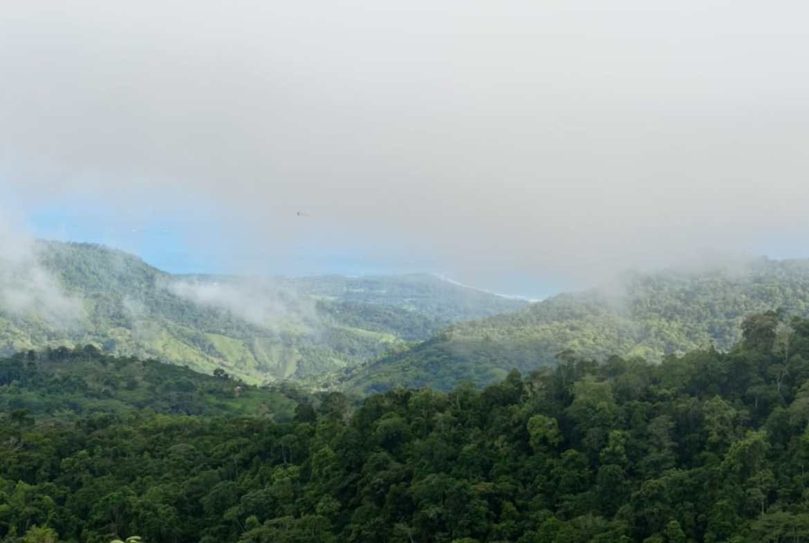 Development opportunity in between Uvita and Perez Zeledon