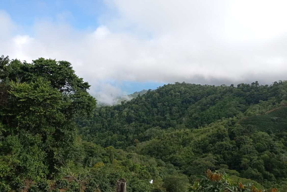 Development opportunity in between Uvita and Perez Zeledon