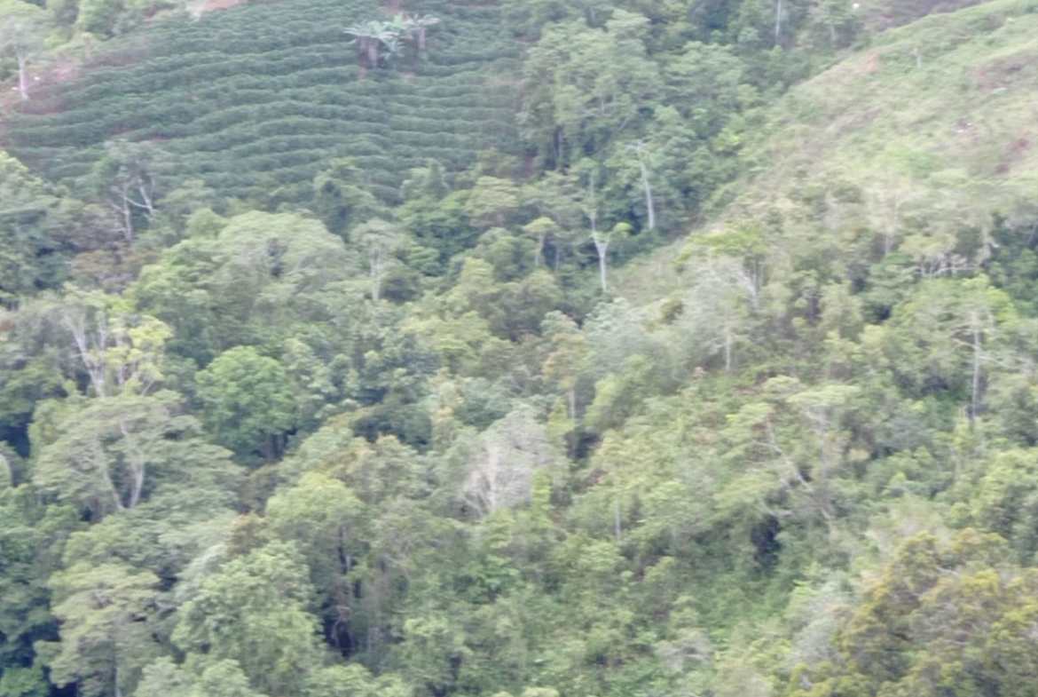 Development opportunity in between Uvita and Perez Zeledon